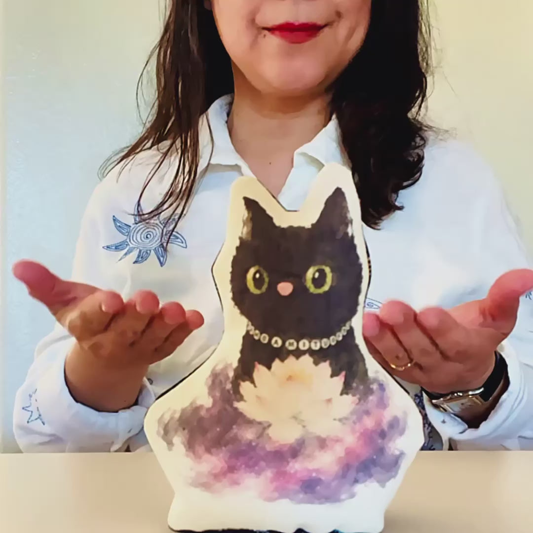 Luna Paws Otedama - 360 Product Video